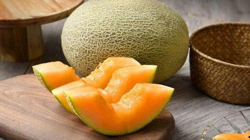 去瓜州吃哈密瓜,哈密瓜的甜蜜诱惑