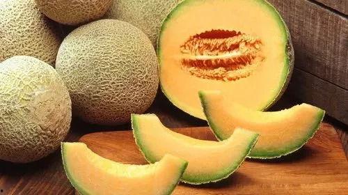 去瓜州吃哈密瓜,哈密瓜的甜蜜诱惑