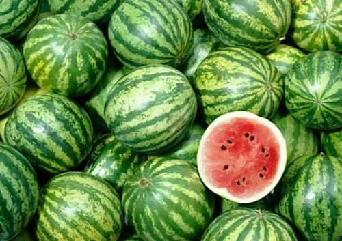 吃热熟瓜文案,热熟瓜滋味尽享