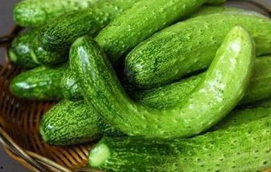 老瓜吃的啥食物,探寻老瓜的独特美食之旅