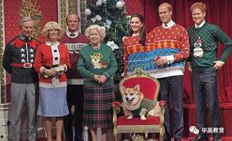 毛衣吃瓜群众,揭秘时尚潮流背后的故事