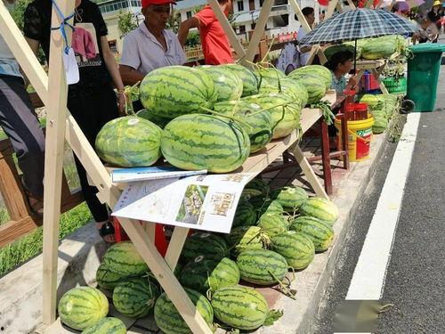 梁山拳谱吃瓜,揭秘古代武林秘籍中的吃瓜智慧