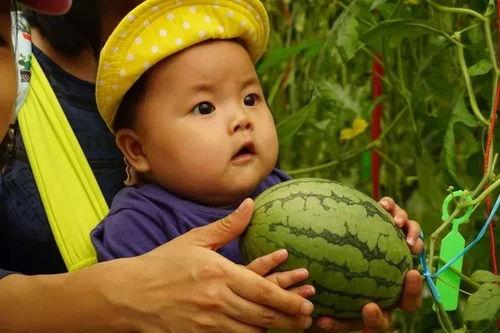 金某某吃瓜,揭秘娱乐圈背后的真相