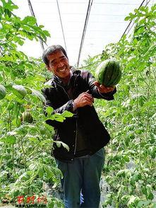 子长吃瓜,揭秘娱乐圈的甜蜜与苦涩