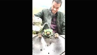 联盟解说吃瓜,揭秘电竞圈幕后故事