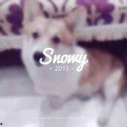 吃瓜少女喵喵喵,揭秘娱乐圈幕后故事