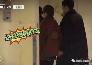 吃瓜观众马冬梅,吃瓜群众的视角，揭秘娱乐圈风云