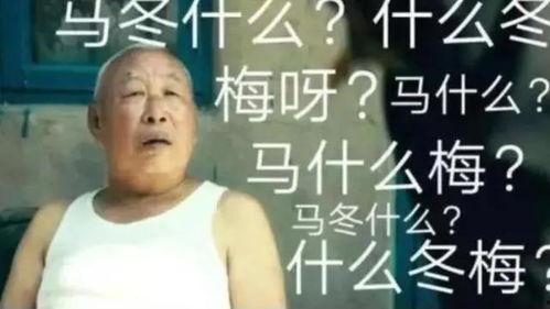 吃瓜观众马冬梅,吃瓜群众的视角，揭秘娱乐圈风云