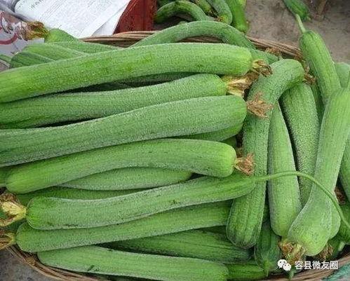 吃瓜身体不舒服,揭秘夏日消暑美食背后的健康隐患