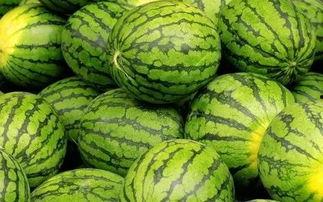 吃瓜网红每日大赛,揭秘吃瓜网红每日大赛精彩瞬间