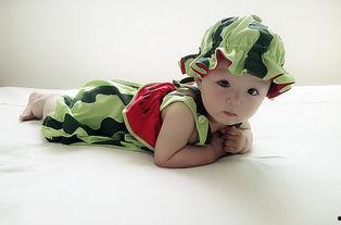 吃瓜萌主科举,一场趣味横生的古代知识竞赛