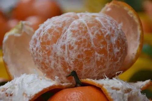 仨人吃俩瓜,温馨的夏日食趣