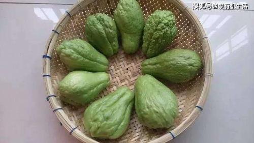 佛手瓜外皮有刺可以吃吗,佛手瓜刺皮可食用揭秘