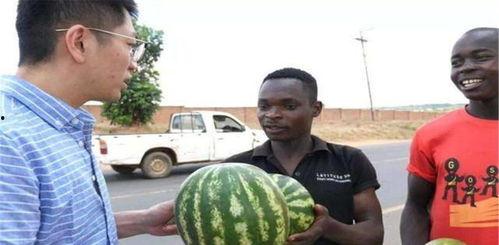 被打了吃瓜,吃瓜群众纷纷围观