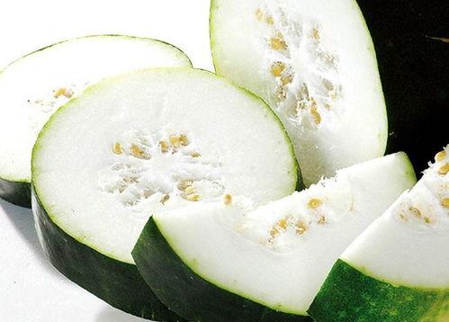 甘肃宋沁吃瓜,瓜田里的甜蜜生活