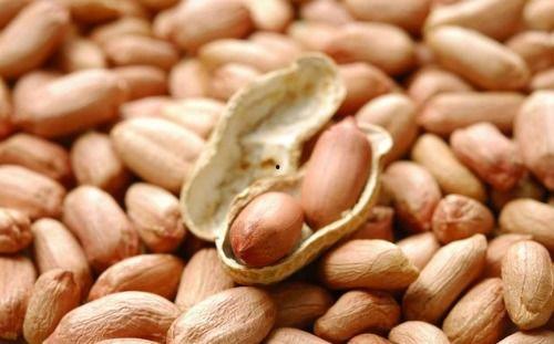 喝茶吃花生瓜,品味传统小吃中的茶文化交融