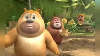 萌熊吃瓜,欢乐无限，带你领略萌宠趣味生活