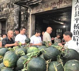 吃瓜天台,网络热点的幕后故事