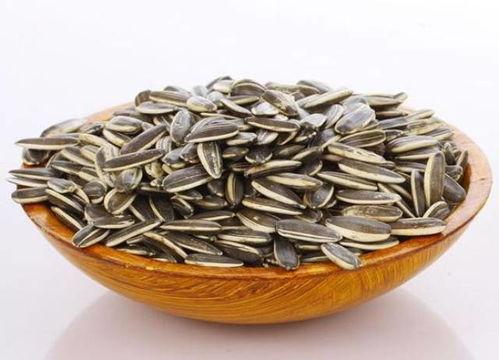 开学准备瓜子吃瓜,瓜子相伴，轻松吃瓜迎新学期