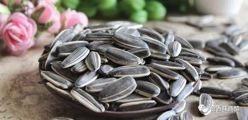 开学准备瓜子吃瓜,瓜子相伴，轻松吃瓜迎新学期