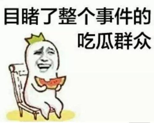 文智雅吃瓜,揭秘娱乐圈幕后故事