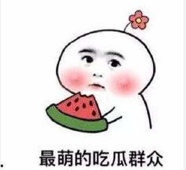 吃瓜群众标准,吃瓜群众眼中的明星生活