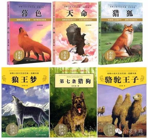 动物吃瓜后续小说,动物们的奇幻食旅