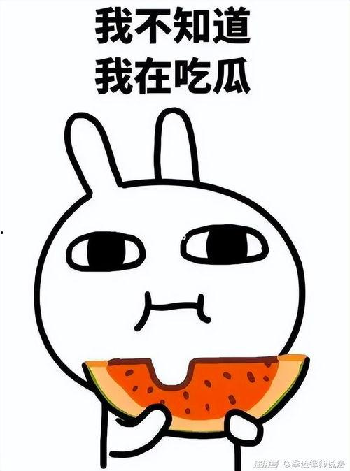 吃瓜q群2515071,一场网络社交的狂欢盛宴