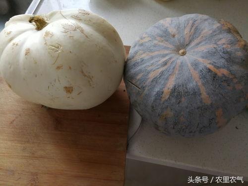 玉瓜花怎么吃,创意烹饪指南