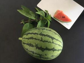 吃瓜包装盒,包装盒里的夏日清凉秘密