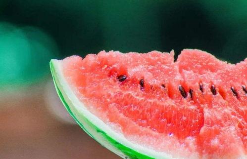 建德吃的瓜,探寻这座古城的甜蜜记忆