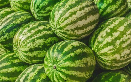 到哪里吃瓜,揭秘“到哪里吃瓜”的神秘魅力