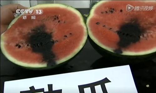 细胞里吃瓜的视频,微观视角下的生命奇观