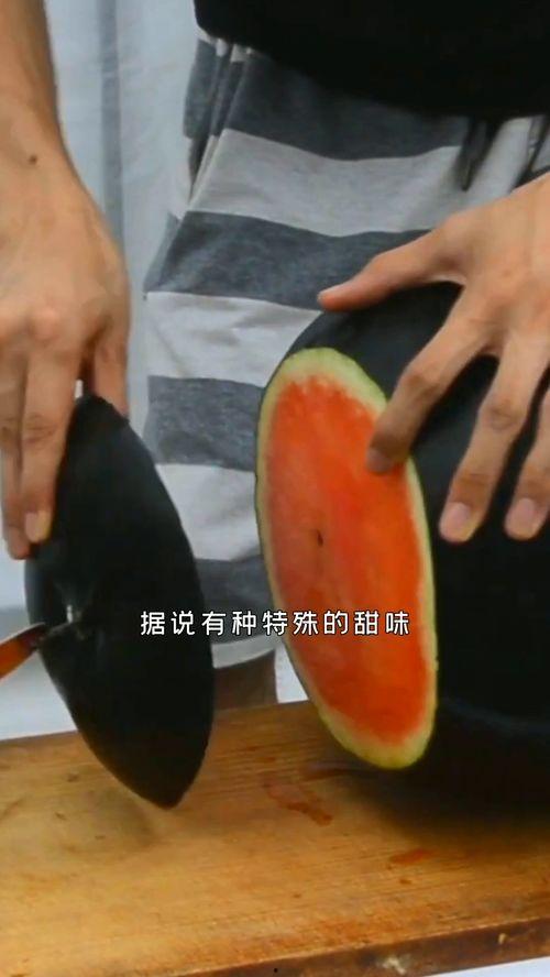 吃瓜的煤球,揭秘网络热词背后的趣味与思考