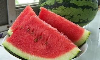 吃瓜大全500种,吃瓜大全概览