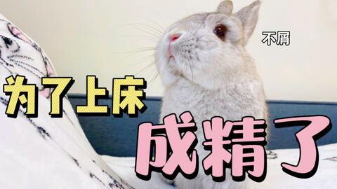 兔哥吃瓜,揭秘娱乐圈那些不为人知的幕后故事