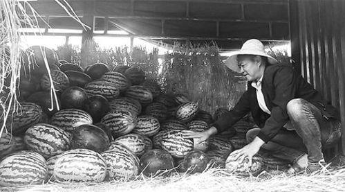 沂水吃瓜群众们,揭秘民间热点事件背后的故事