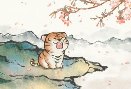 虎财吃瓜小说,揭秘娱乐圈背后的秘密与风云