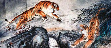 虎财吃瓜小说,揭秘娱乐圈背后的秘密与风云