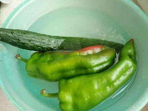 麻辣吃鸡瓜,舌尖上的游戏新体验