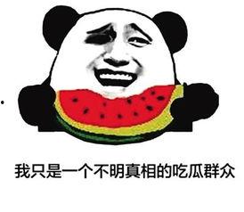 吃瓜群众大代表,揭秘民生热点背后的故事