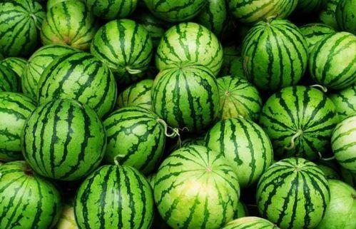 夏天有什么瓜吃,盘点夏季必尝的清凉美味