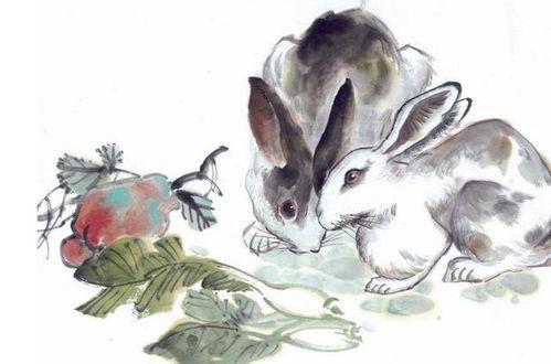 吃瓜兔子解肖,揭秘娱乐圈背后的故事