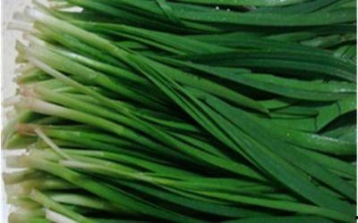 吃瓜种韭菜,吃瓜群众与韭菜种植者的生活轨迹  第1张