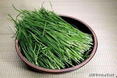 吃瓜种韭菜,吃瓜群众与韭菜种植者的生活轨迹  第3张