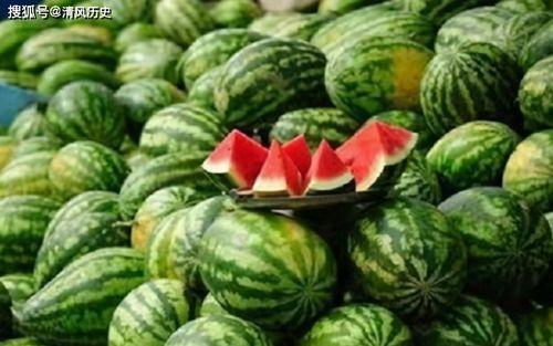 吃瓜以南手作,探寻手作之美，品味生活艺术  第3张