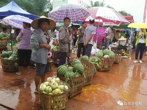 彝族古镇吃瓜群众,吃瓜群众的欢乐盛宴  第3张