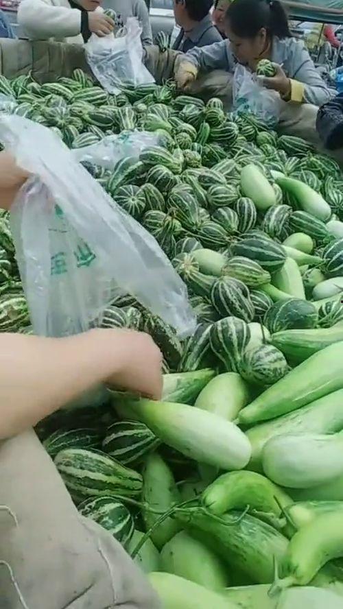 大叔最新视频吃瓜,揭秘娱乐圈吃瓜大事件，笑料百出！  第2张