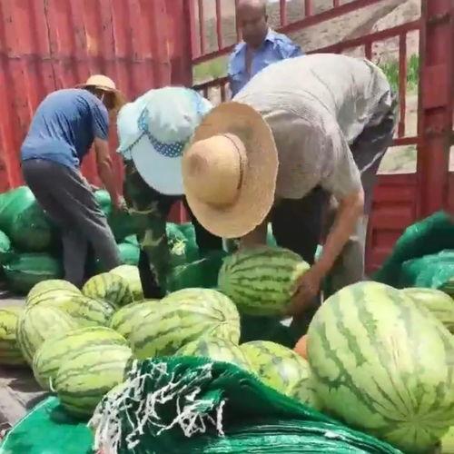 吃瓜发发,吃瓜群众视角下的娱乐圈风云录  第2张