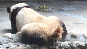 大清早吃的瓜  第2张